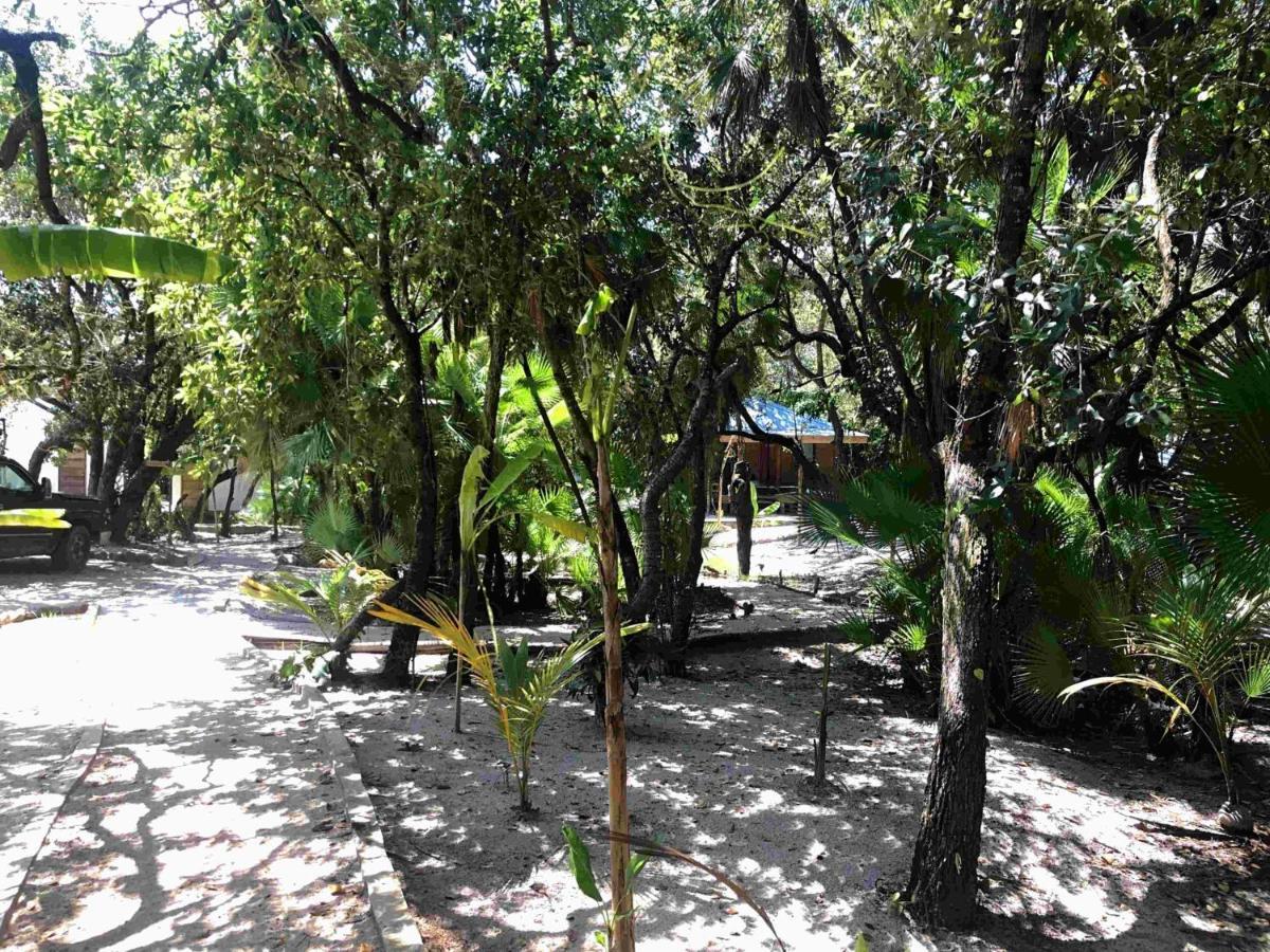 Kin Resort Lodge Maya Beach المظهر الخارجي الصورة